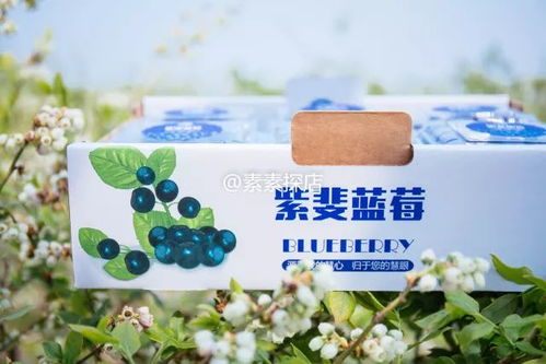 素素探店 網(wǎng)紅藍(lán)莓酒年初沒搶上蹉腳哭 別再錯(cuò)過頭茬有機(jī)藍(lán)莓采摘季了