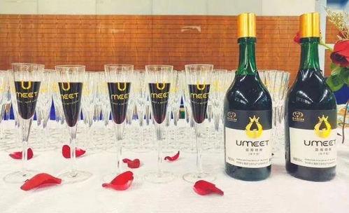 年度酒訊⑤丨2022年微醺實錄 低度酒扎堆 同質(zhì)化中突圍