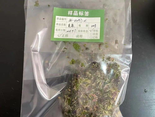 探秘實驗室開放日 農(nóng)產(chǎn)品質(zhì)量檢測與食用農(nóng)產(chǎn)品初加工